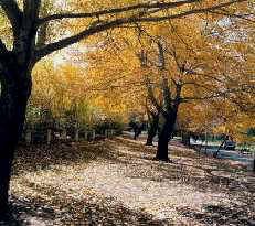 Canberra, Australian Capital Territory