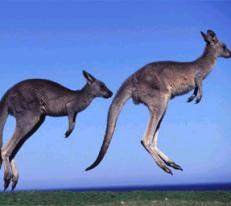 A morning jog in the Northern Territory!