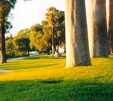 Kings Park, Perth - the largest central city park in the world!