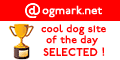 Cool DOG Site of the Day