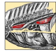 The esophagus - Michigan Veterinary Specialists